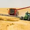  Пшеница 3 класс в объеме 5000 тонн в Нижнем Новгороде