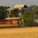 В Нижегородской области намолотили более 350 тысяч тонн зерна