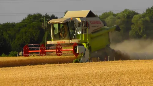 В Нижегородской области намолотили более 350 тысяч тонн зерна