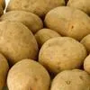  Из РБ Семенной картофель в Азербайджане